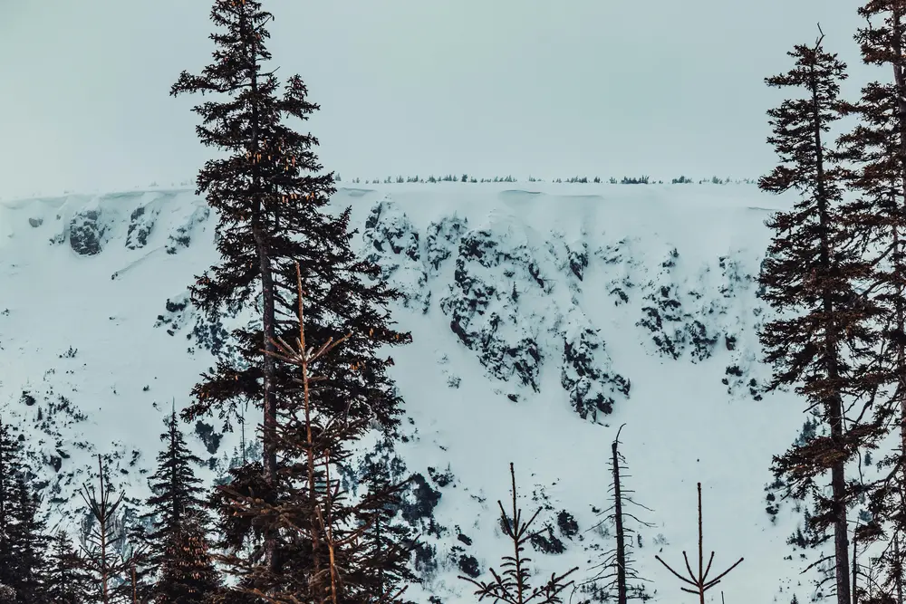 Bieg Tropem Wilczym 2026 w Woliborzu: Zapisy trwają! Pobiegnij dla Niepodległej