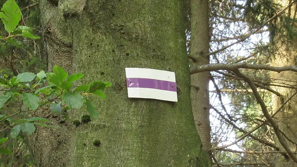 File:Góry Sowie ~20rplzvu.jpg