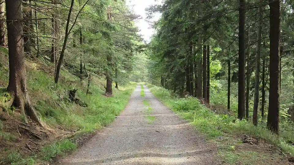 File:Góry Sowie ~20rpmhok.jpg