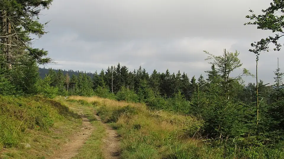 File:Góry Sowie ~20rplgku.jpg