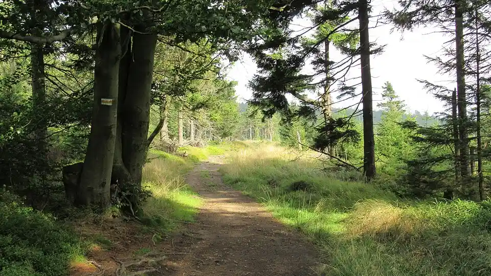 File:Góry Sowie ~20rplchi.jpg