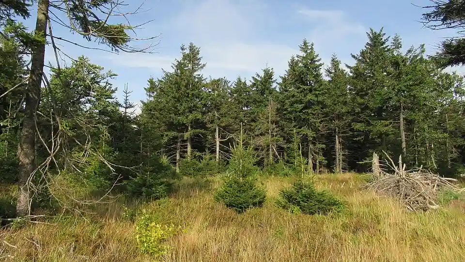 File:Góry Sowie ~20rplapa.jpg