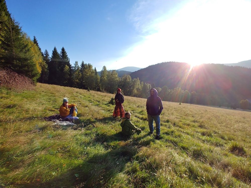 Konie na wybiegu w Lasówce przy Chacie Heart of Wood.