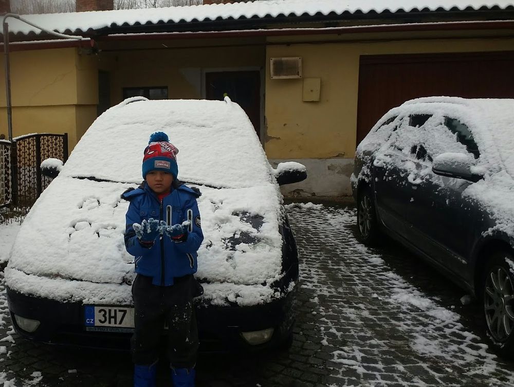 Pěstírna w Polanicy: Tropikalny azyl zimą (Aquahak)