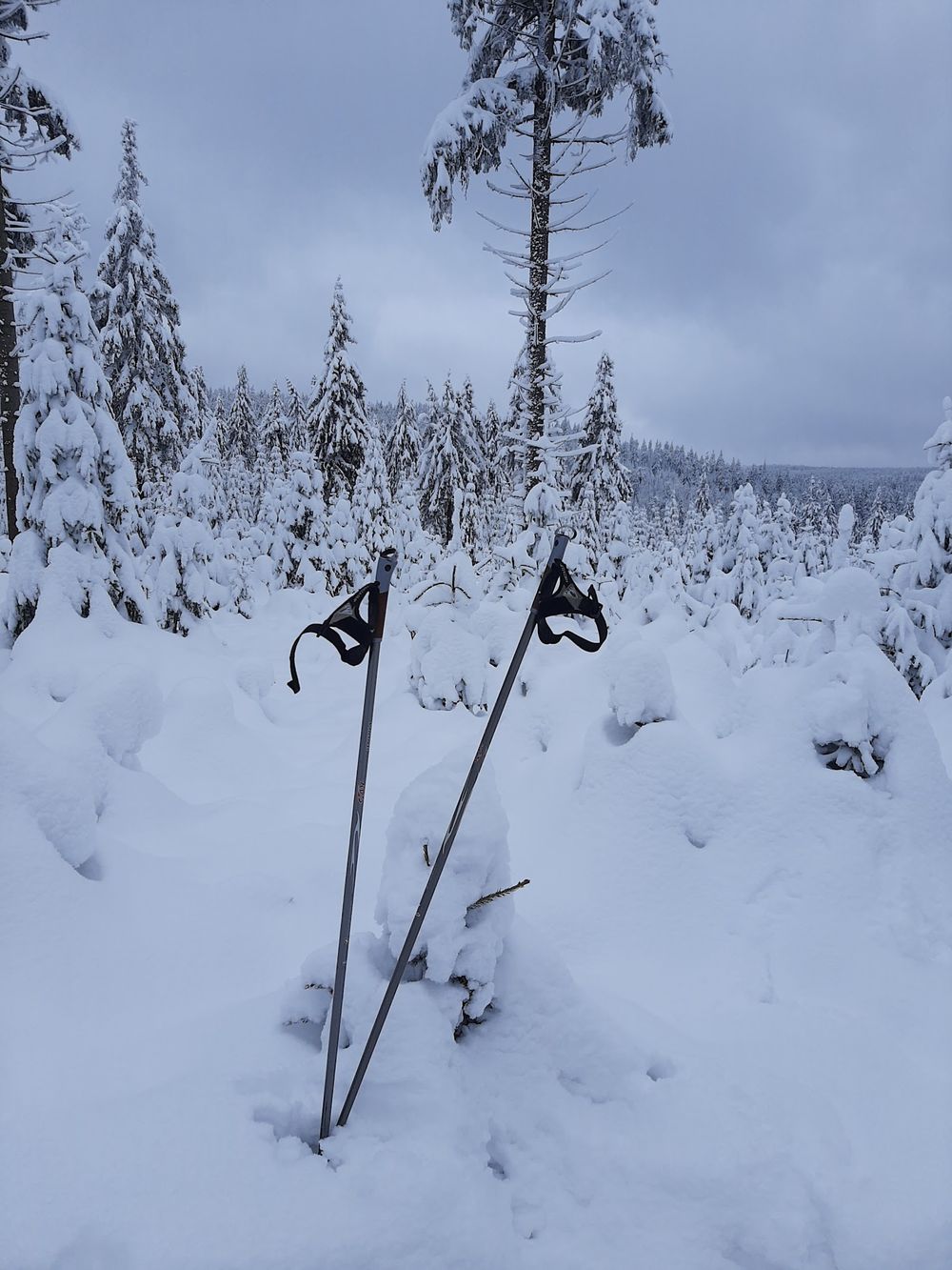Góry Bialskie: Zimowy azyl na końcu świata i cisza sudeckiej Alaski