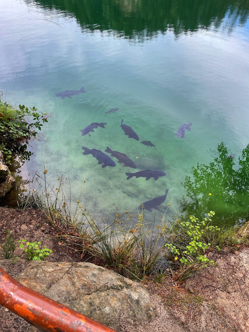 Panorama skalnego miasta.