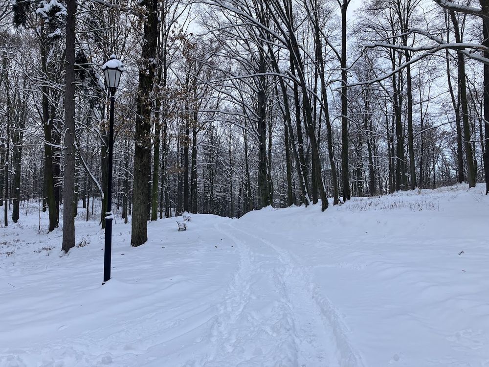 Park Pałacowy w Kamieńcu Ząbkowickim: Perła Marianny Orańskiej w zimowej bieli
