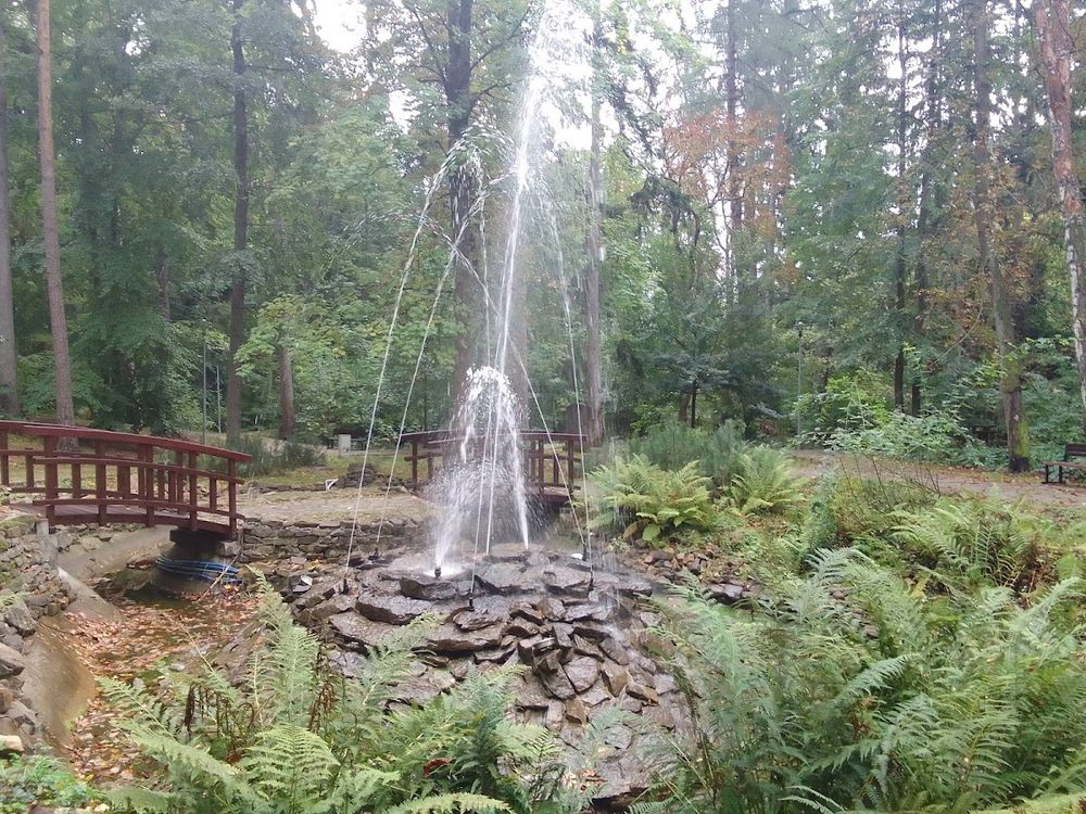 Fontanna ogrodowa o wyglądzie w słońcu.