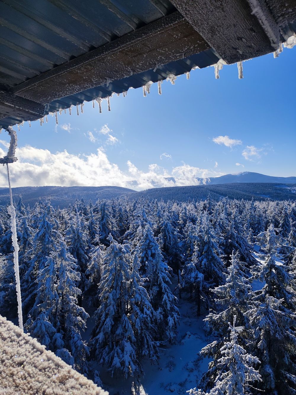 Zimowy las z perspektywy wieży na Czernicy – morze ośnieżonych drzew.