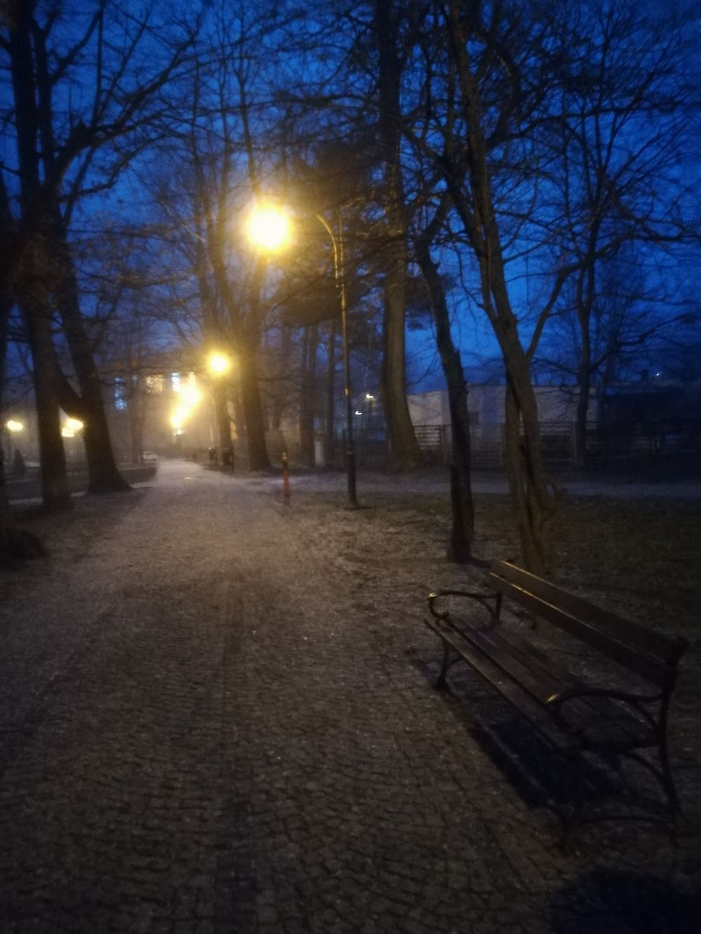 Zimowa aleja parkowa.