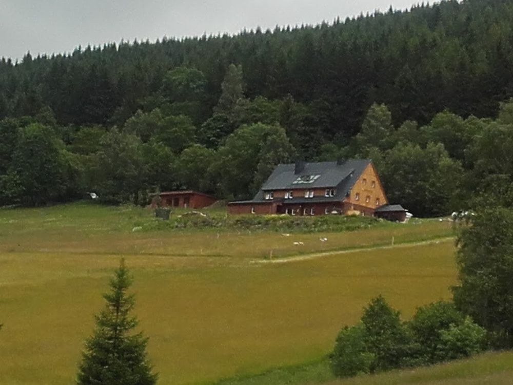 Leśna łąka w słońcu o świcie o wysokim standardzie pod słońcem.