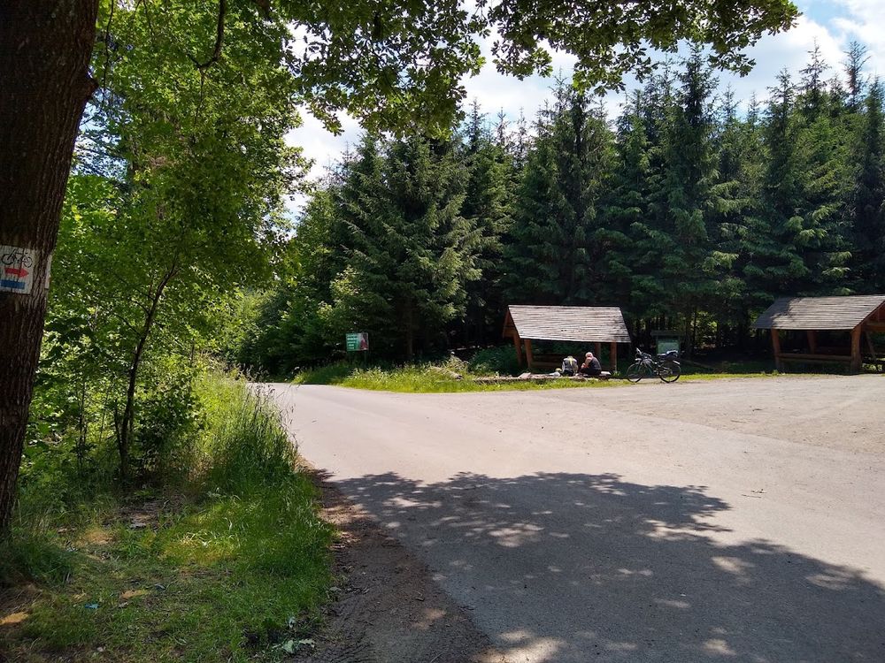 Zimowy las na przełęczy.