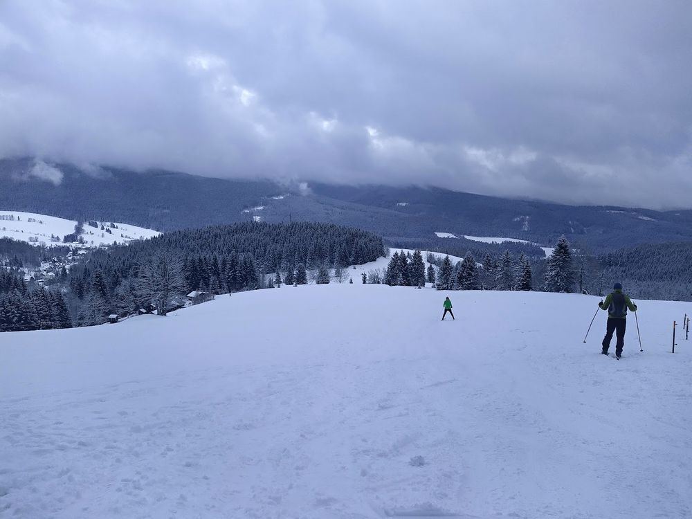 Narciarze na nasłonecznionym stoku w Górach Złotych.