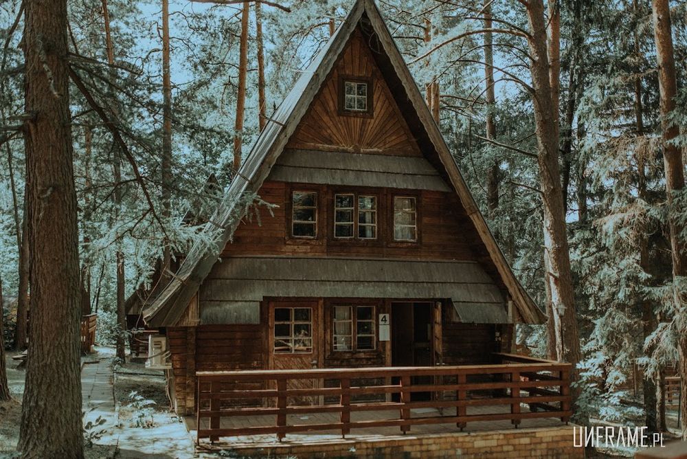 Mały domek z drewna otoczony ośnieżonymi drzewami.