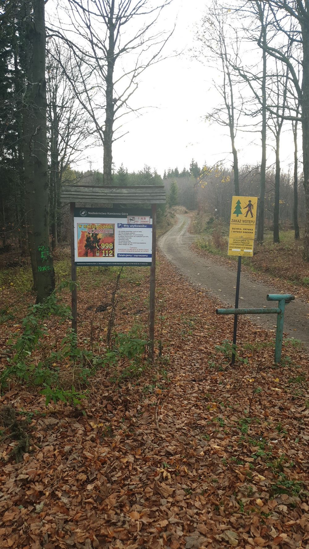 Drogowskazy turystyczne na tle ośnieżonego lasu.