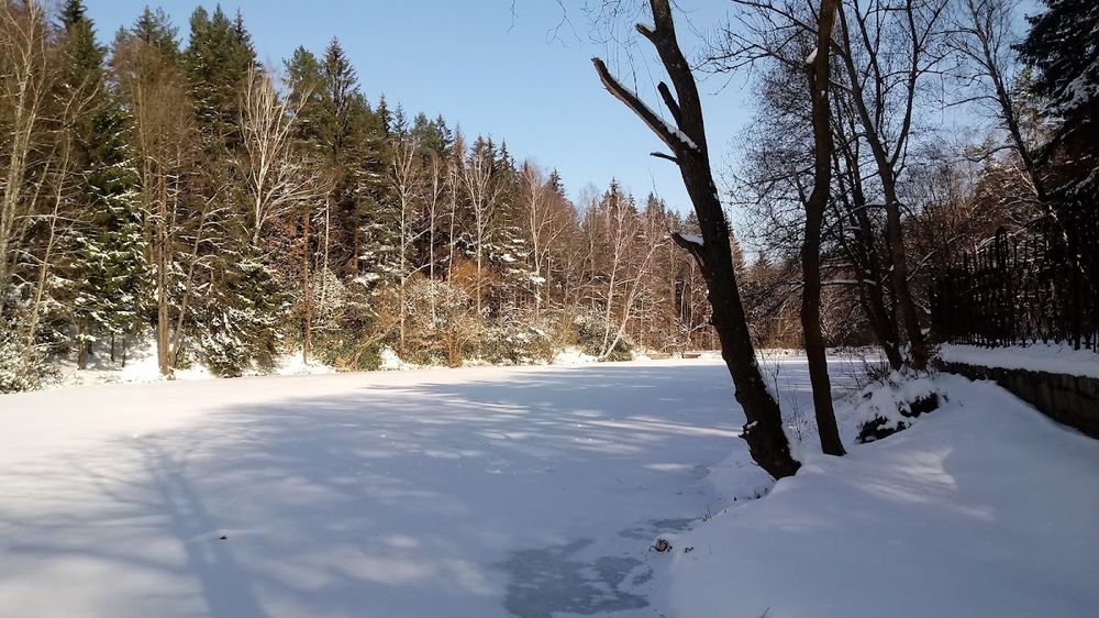 Staw Poleśnicki: Zimowy spacer i morsowanie w naturze