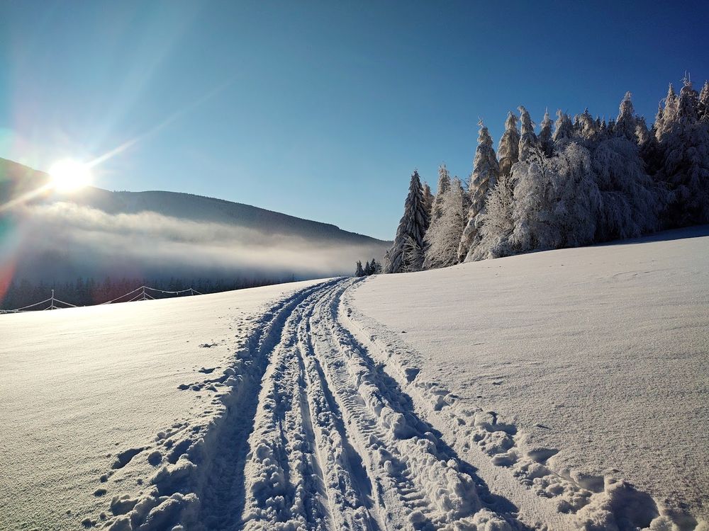 Ośnieżona droga leśna w Górach Złotych o zachodzie słońca.