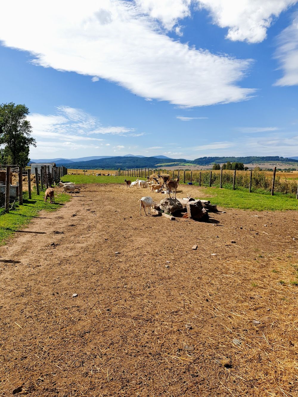 Zima w gospodarstwie.