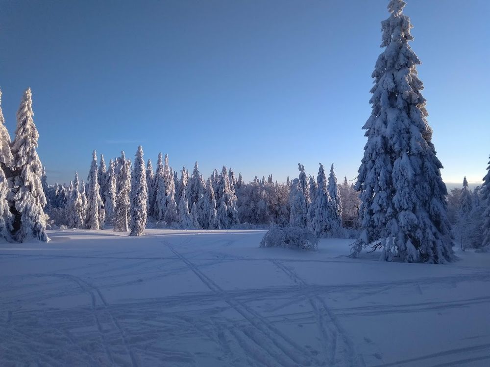 Heinrich Rübartsch: Śladami pioniera narciarstwa w Zieleńcu
