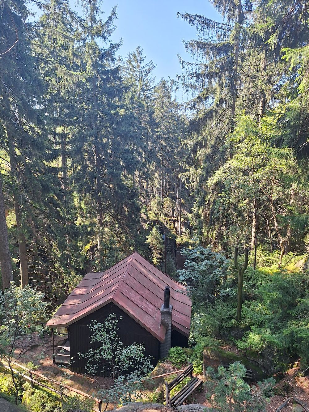 Mała chatka leśna ukryta w zieleni pod niebem pod słońcem o świcie.