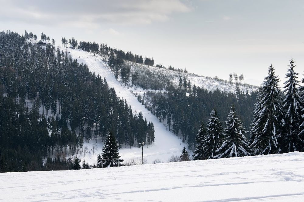Zimowy widok na stok.