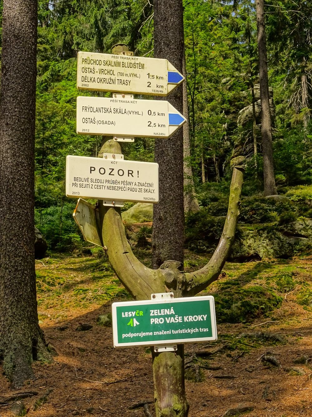 Nastrojowy znak 'Przystanek Widokowy' na pniu drzewa na Ostašu.