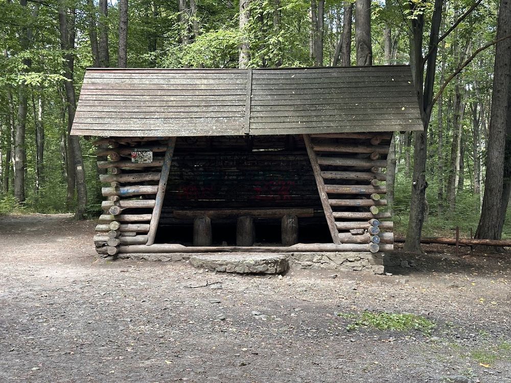 Drewniana wiata w zimowym lesie.