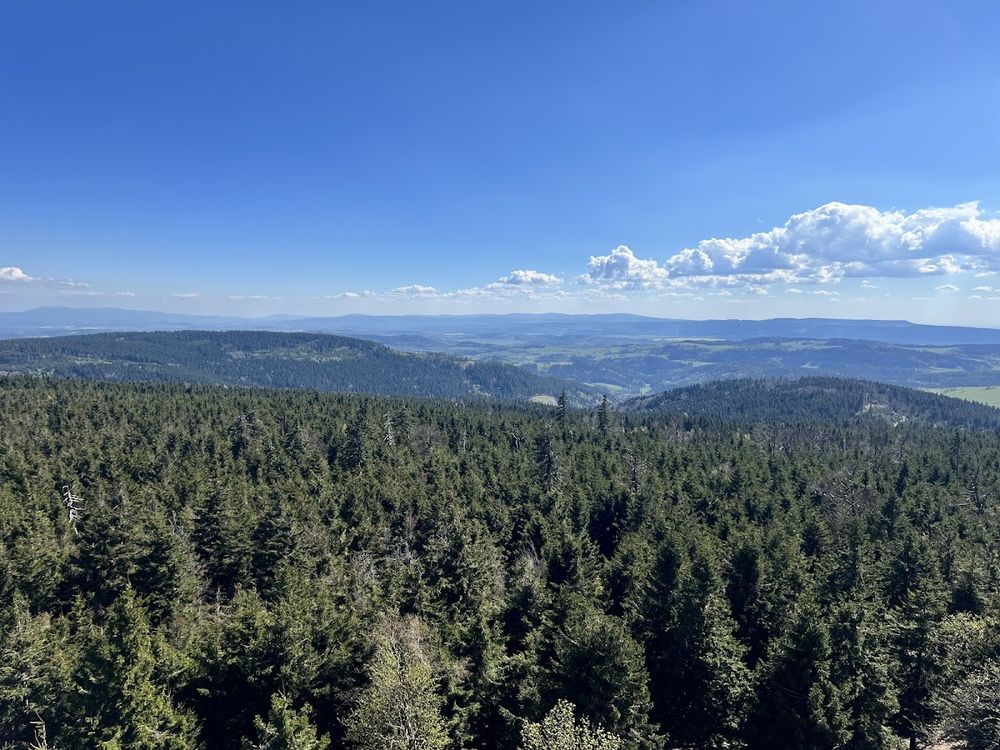 Panorama ośnieżonych pasm Gór Sowich pod błękitnym niebem.