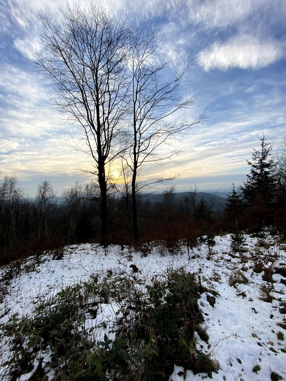 Rozhledna Markoušovický hřeben: Czeski punkt widokowy, który warto zdobyć