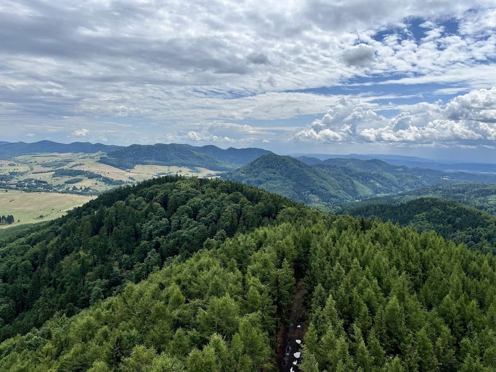Widok z Dzikowca na ośnieżone lasy.