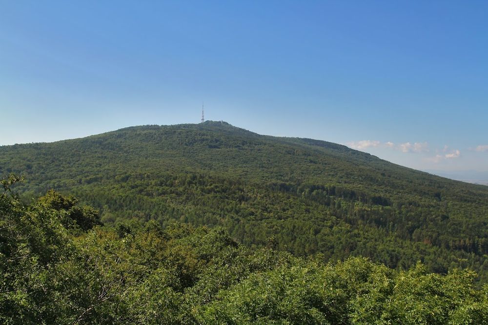Panorama zalesionej doliny u stóp Ślęży w zimowym świetle o świcie.
