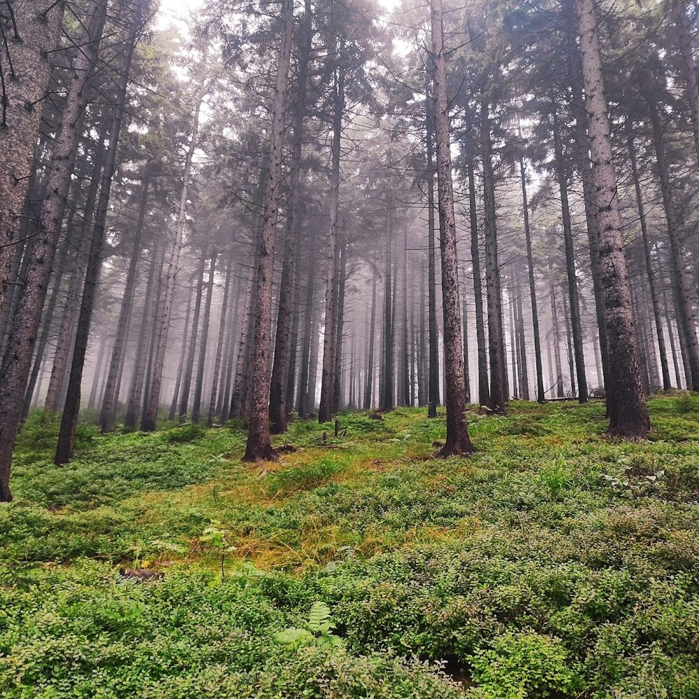 Rudawy Janowickie zimą: Granitowe iglice i zachody nad Karkonoszami