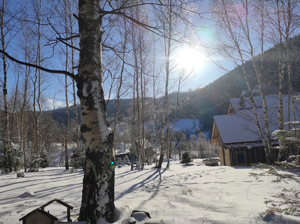 Chata Heart of Wood: Sielski luksus i końskie galopy w sercu zimowej Lasówki