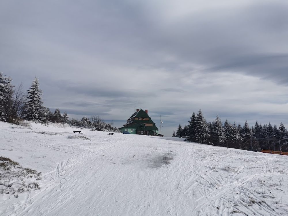 Zimowy las wokół pomnika.