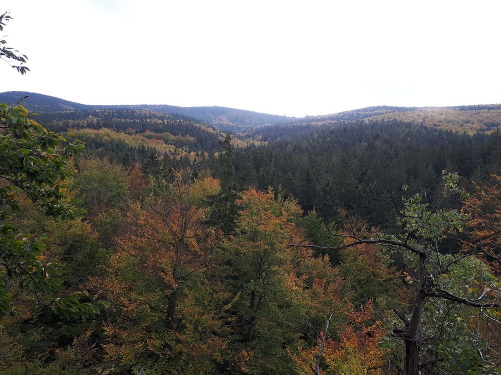 Widok na nastrojową, zalesioną dolinę pod jesiennym, błękitnym niebem.