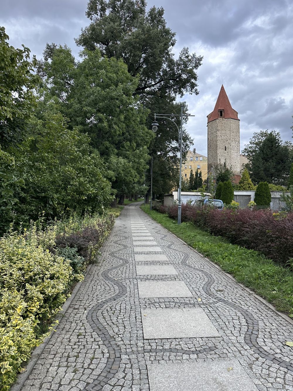 Aleja wśród drzew.