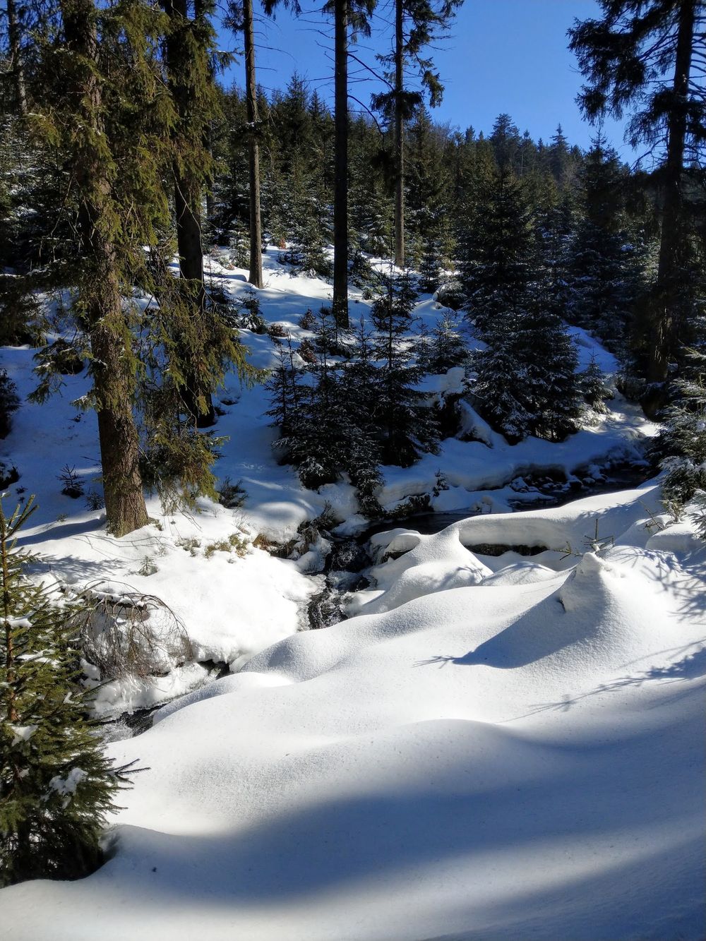 Góry Złote: Dzika perła Sudetów, gdzie czas zatrzymał się w sztolniach