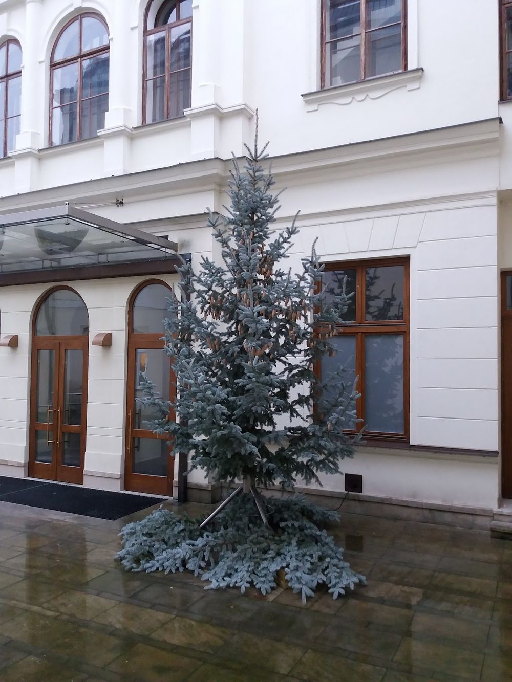 Pelclovo Divadlo: Kulturalne serce Rychnova