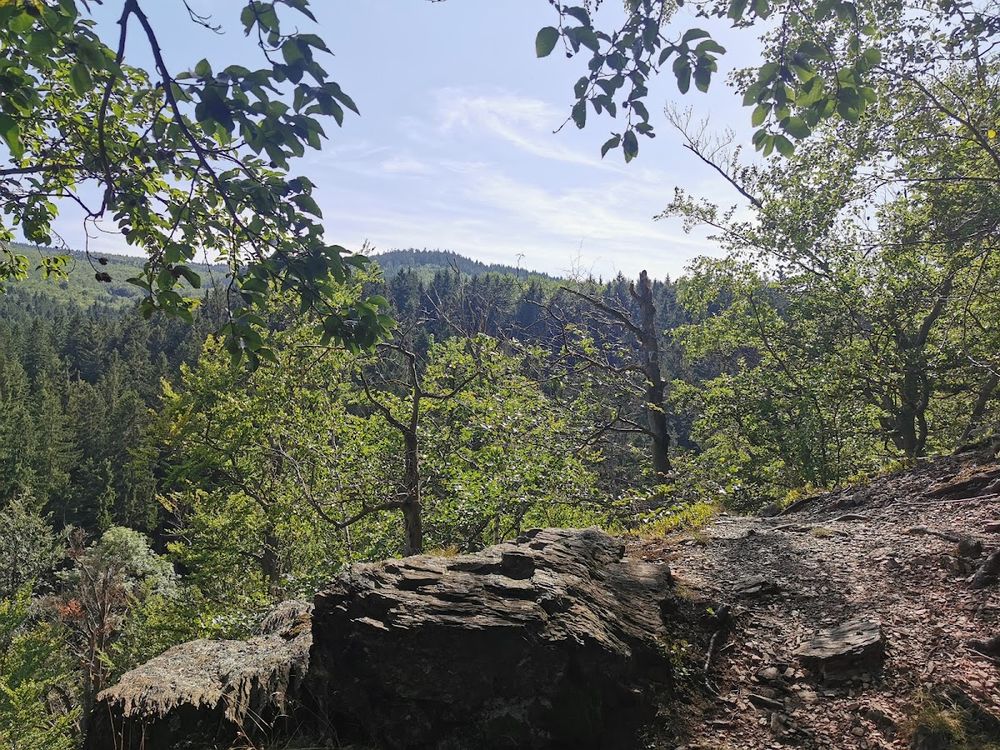 Pionowa ściana skalna porośnięta mchem i letnią roślinnością.