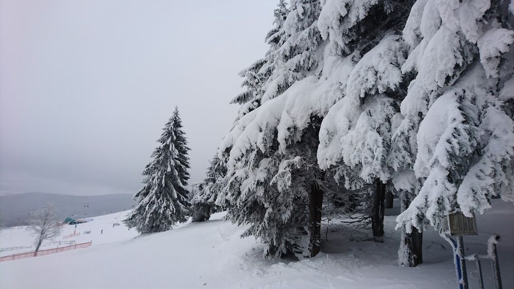 Majestatyczne, ośnieżone szczyty Sudetów widziane z okolic Zieleńca.
