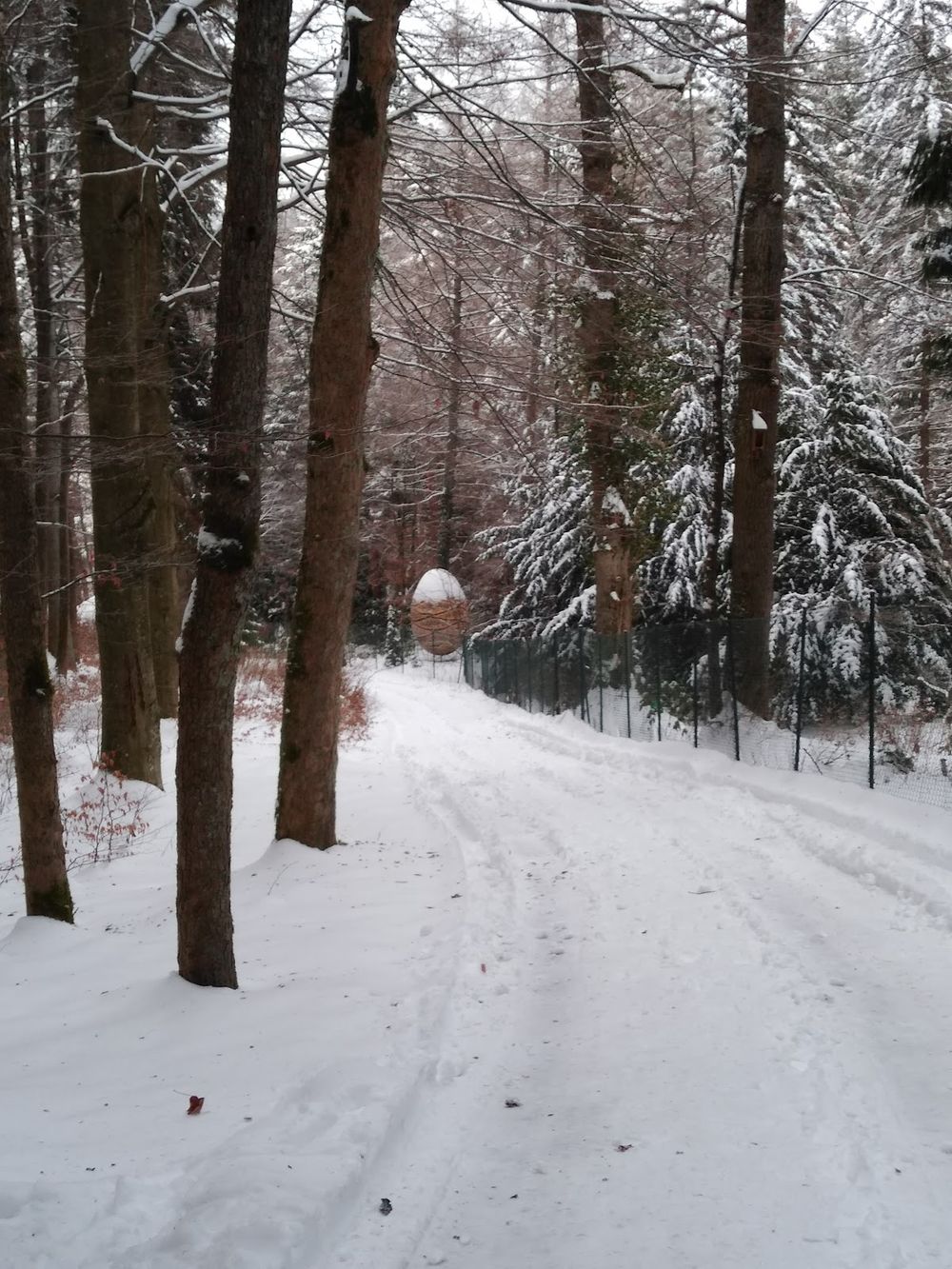 Źródło św. Jadwigi w Polanicy-Zdroju: Uzdrowiskowa moc w leśnym zaciszu