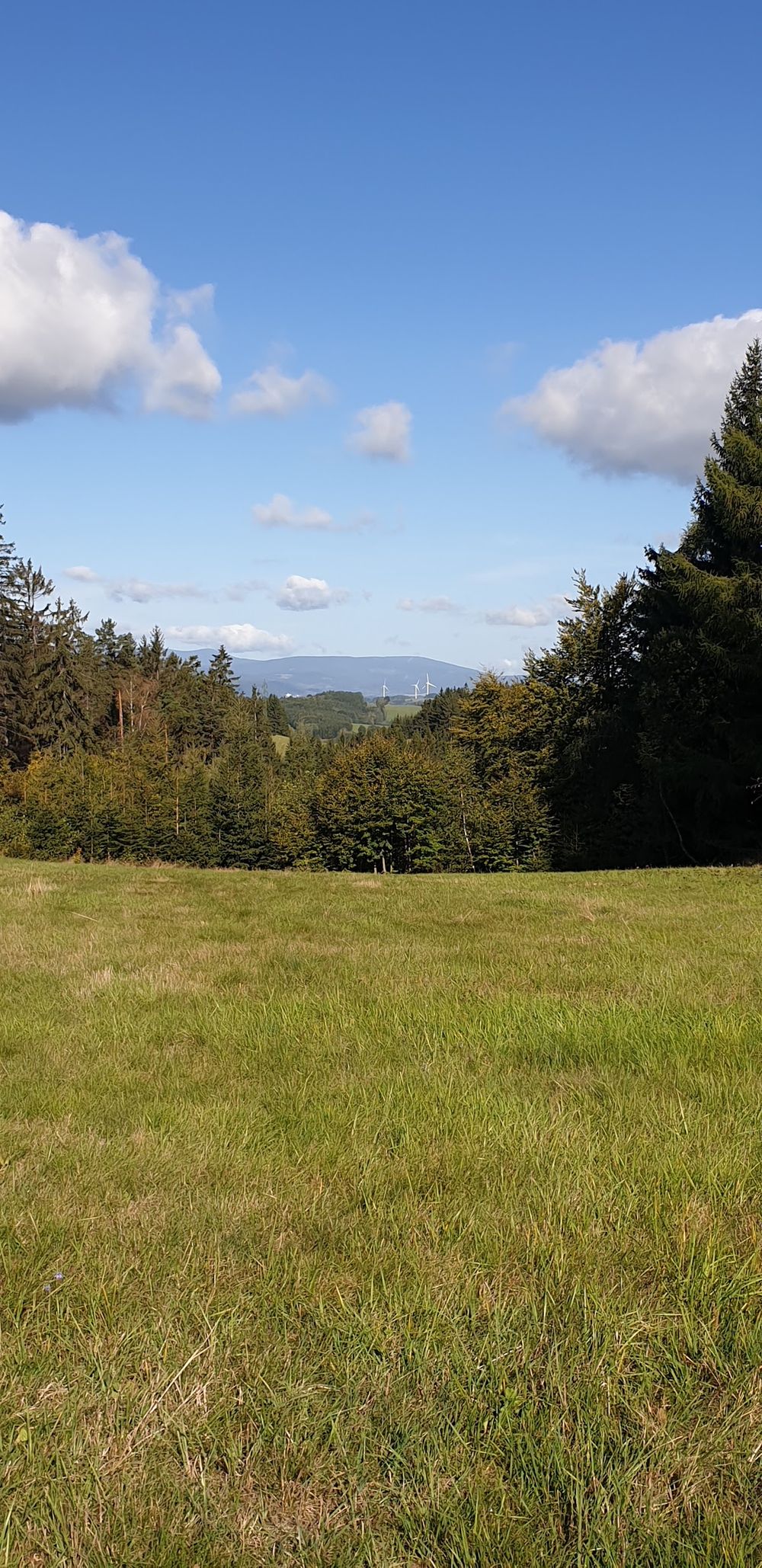 Widoki z okolic schroniska.