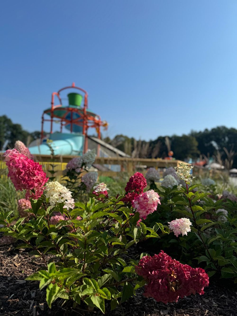 Panorama nastrojowa parku wodnego nastrojowa letem.