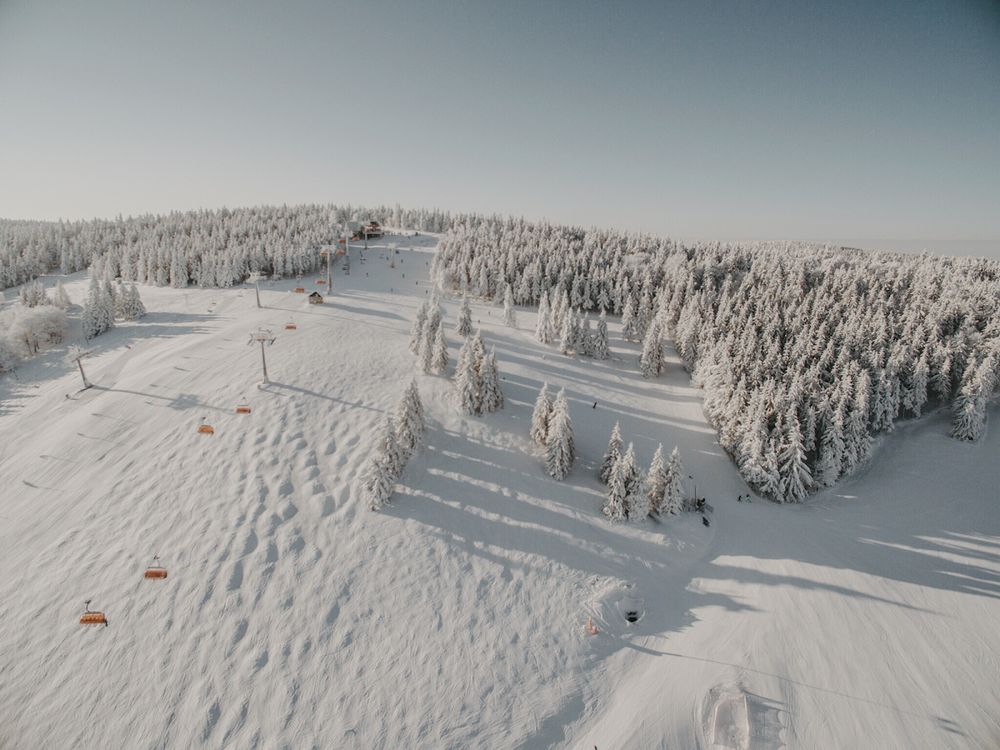 Winterpol Zieleniec: Ogrzewane kanapy, błękitne osłony i magia 'spacerowej' trasy