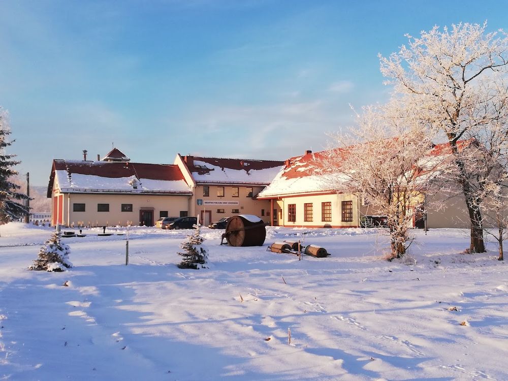 Biblioteka w Mościsku: Kulturalne centrum gminy