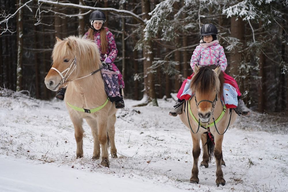 Zagroda Studzienno: Zimą wśród zwierząt