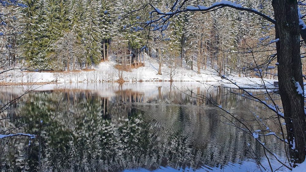 Chalupy Bret w Prkenný Důl: Czeski przepis na rodzinne narty