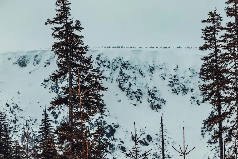 Bieg Tropem Wilczym 2026 w Woliborzu: Zapisy trwają! Pobiegnij dla Niepodległej