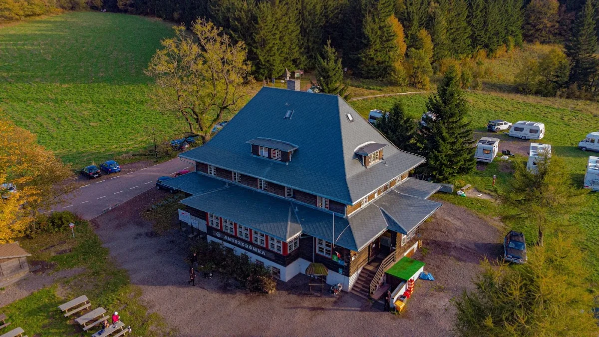 Pensjonat lub hotel w stylu górskim otoczony lasem.
