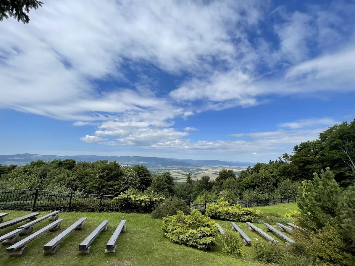 Widok z góry na pola i lasy pod niebem pod słońcem o świcie pod dębem.